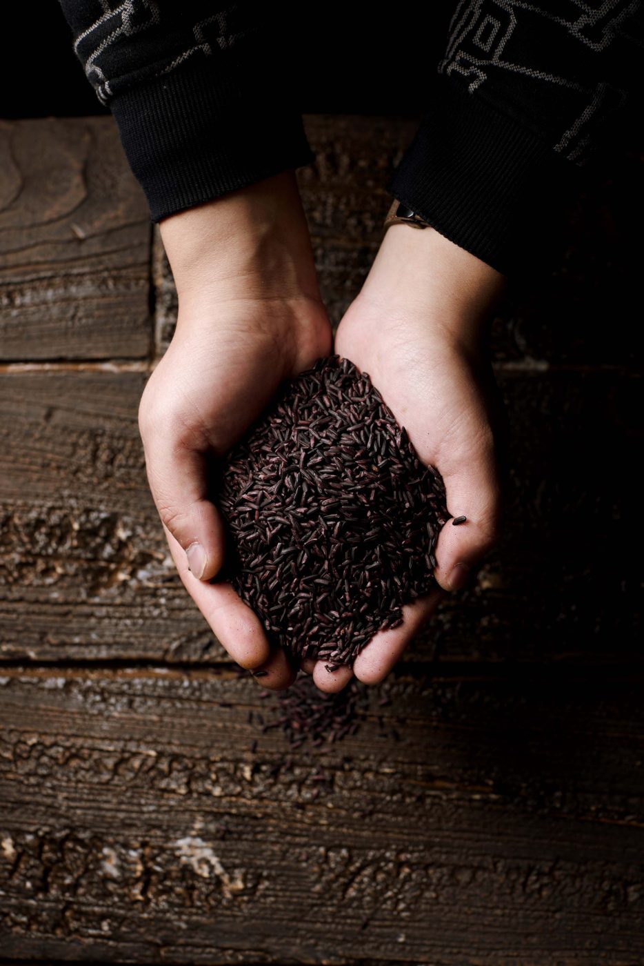 Mojiang purple rice held in two hands
